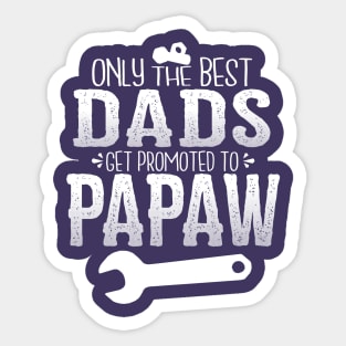 Papaw Promotion - Mr. Fix It Sticker